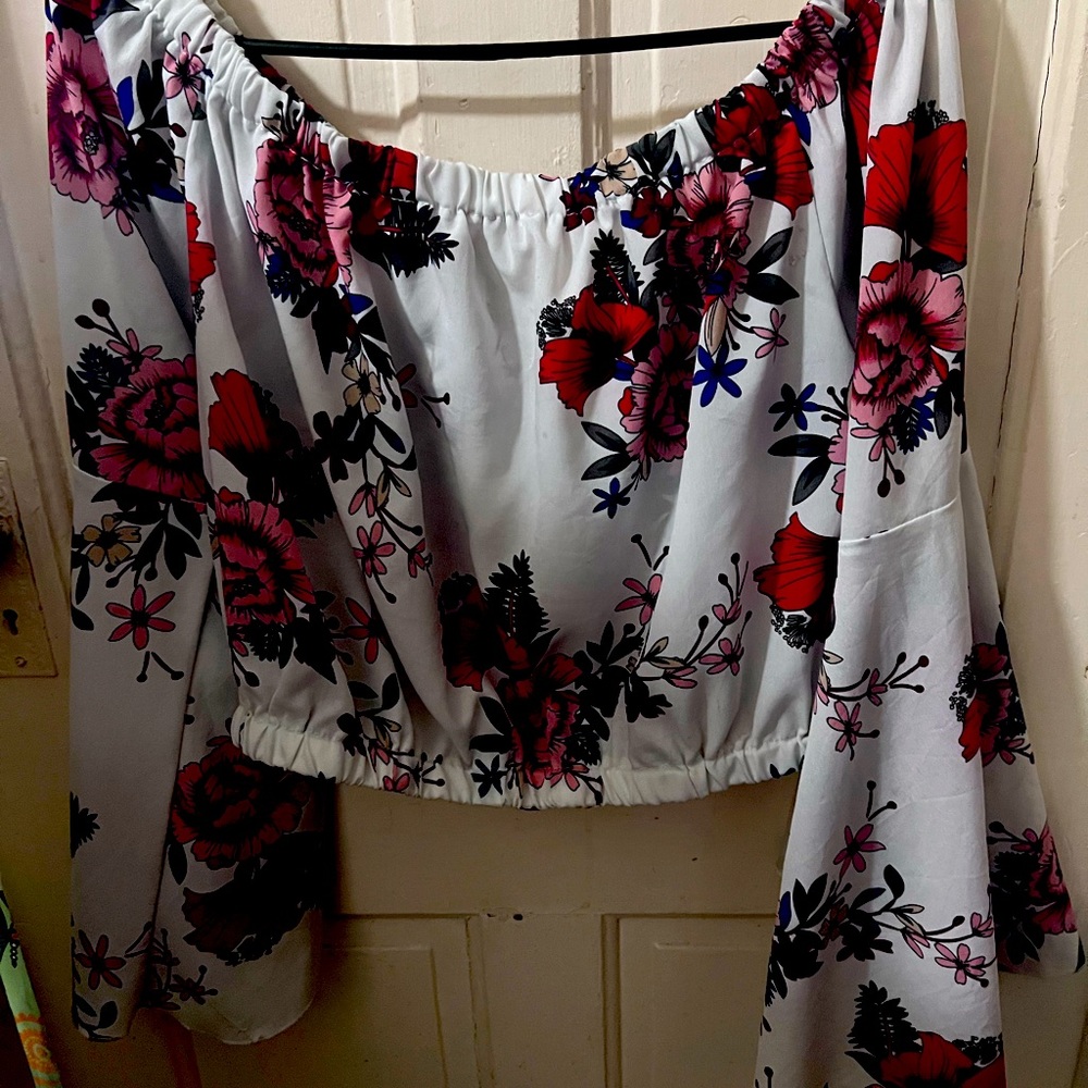 Angel sleeved crop top
